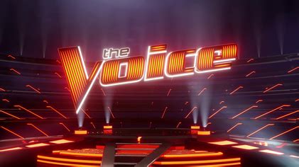 is the voice on tv today